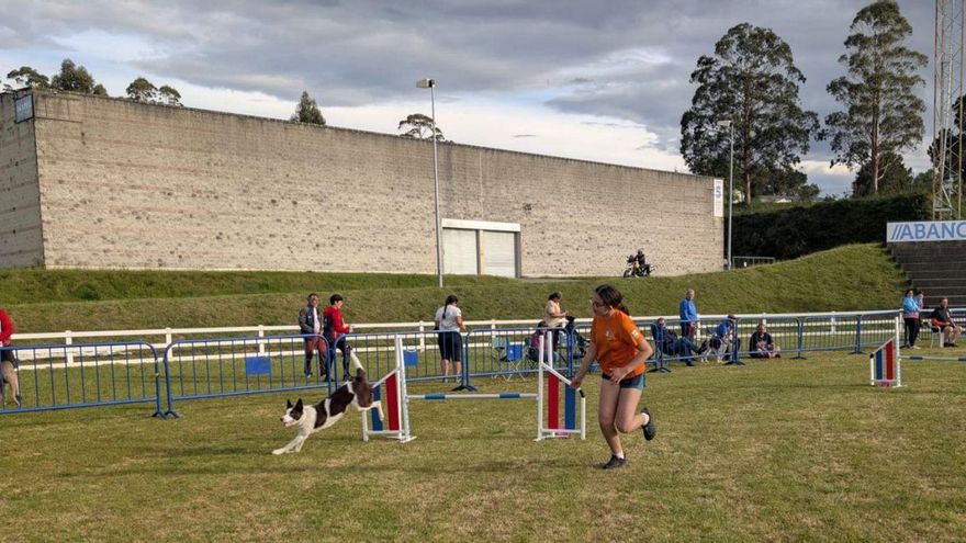 Prueba cuádruple Canedupo celebrada en Silleda en mayo.