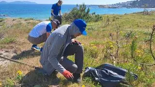 Plancton elimina 738 kilos de plantas invasoras en Area da Cruz