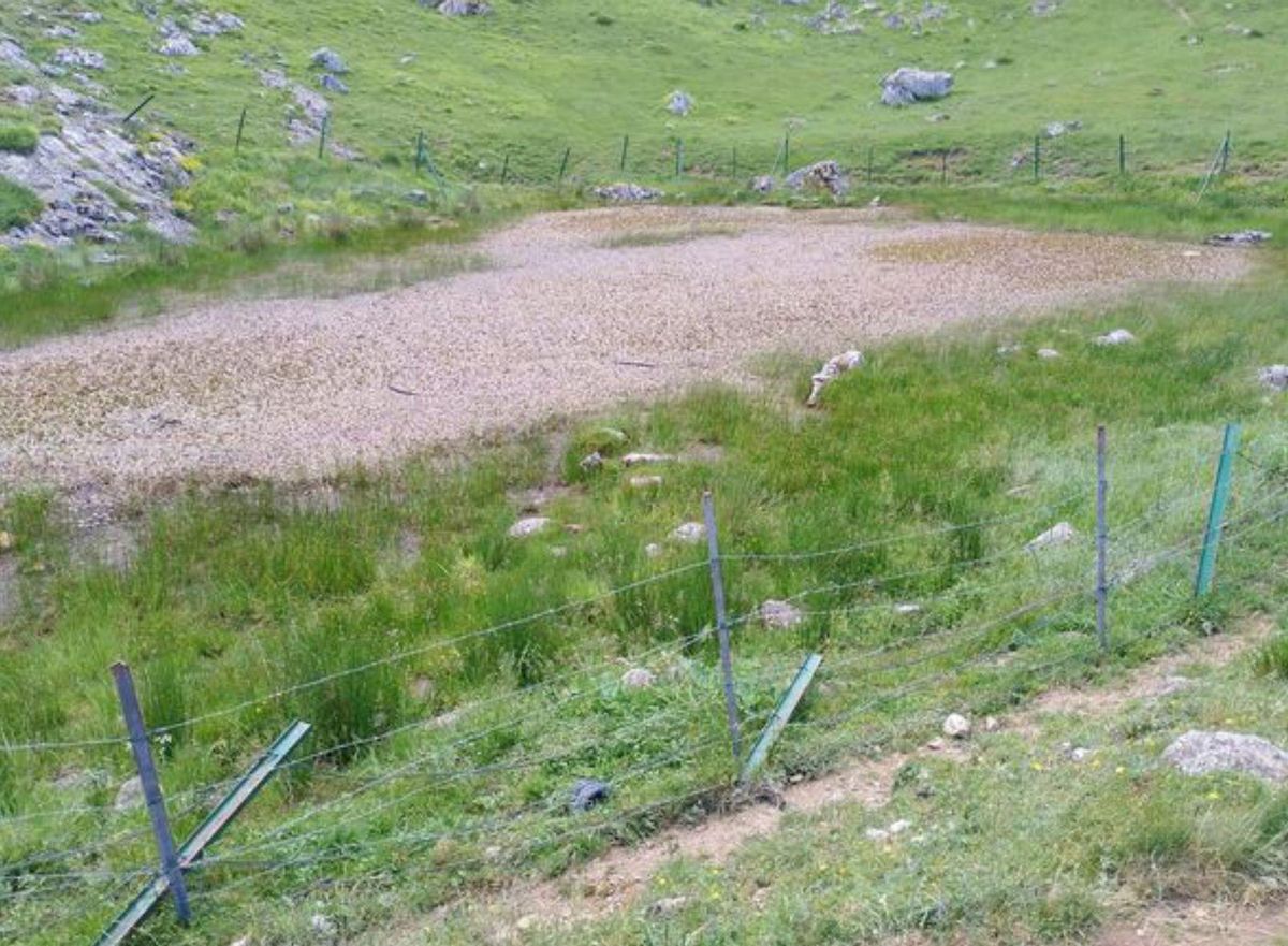 Parques elude su promesa de dar agua a Amuesa: "El ganado se muere de sed"