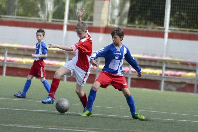 FÚTBOL: Hernán Cortés - San Gregorio (1ª Alevín grupo 2)