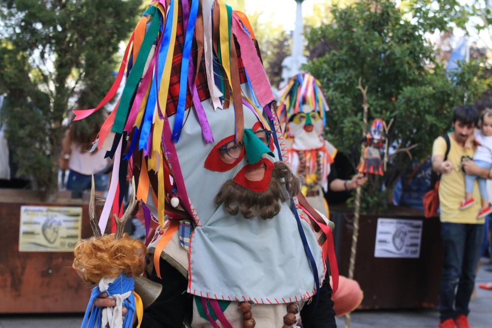 Desfile de mascaradas en Zamora