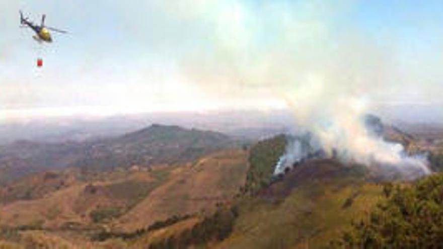 El incendio en Moya, controlado