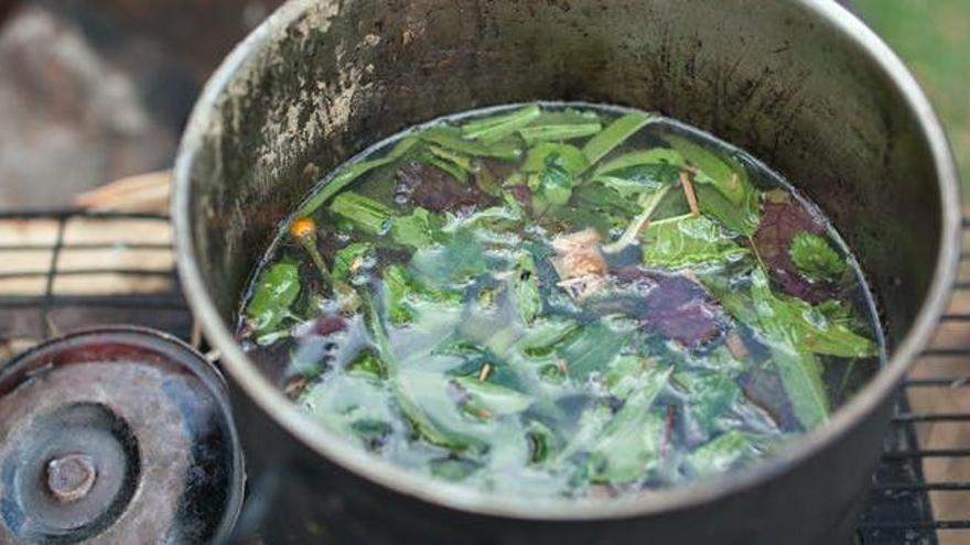 Ayahuasca, el vino de los espíritus que alimenta a las neuronas