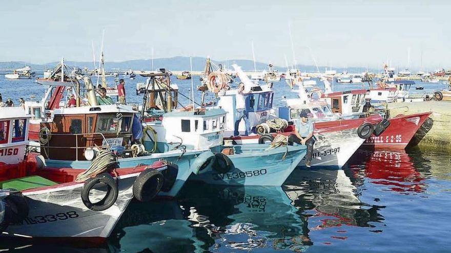 Embarcaciones del &#039;xeito&#039; amarradas en un puerto gallego.