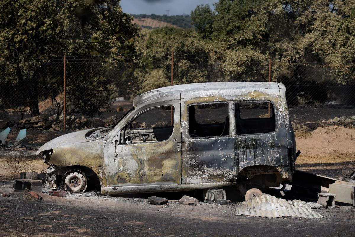 GALERÍA | El paso del fuego por Mámoles arrasa la explotación de Alfredo Fernándes