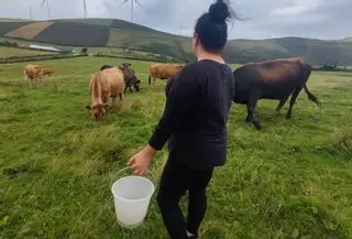Mónica Requeijo, ganadera creadora de una web para hallar mano de obra en el rural: «El campo también necesita informáticos y abogados»