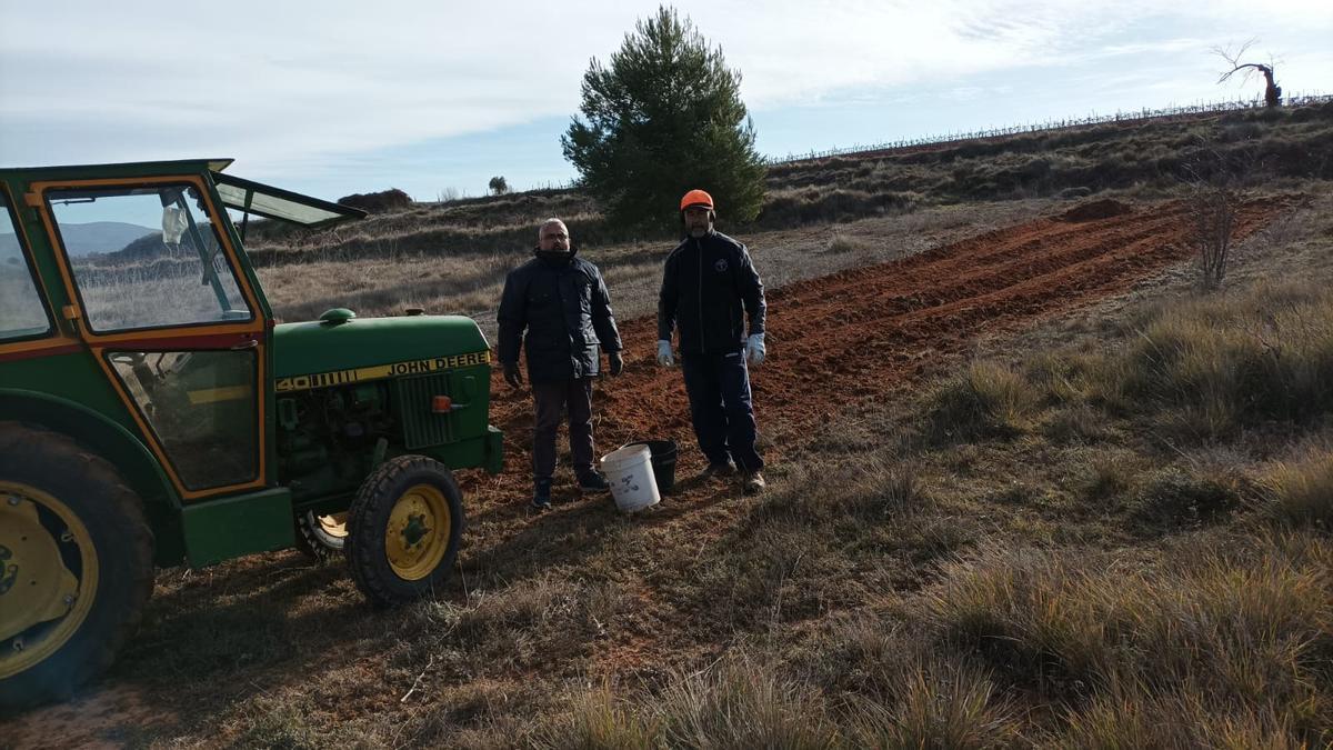 Los cazadores valencianos dedican su tiempo y recursos a realizar trabajos en el monte para que los animales sufran lo menos posible las consecuencias de los cambios de temperaturas y escasez de alimentos.