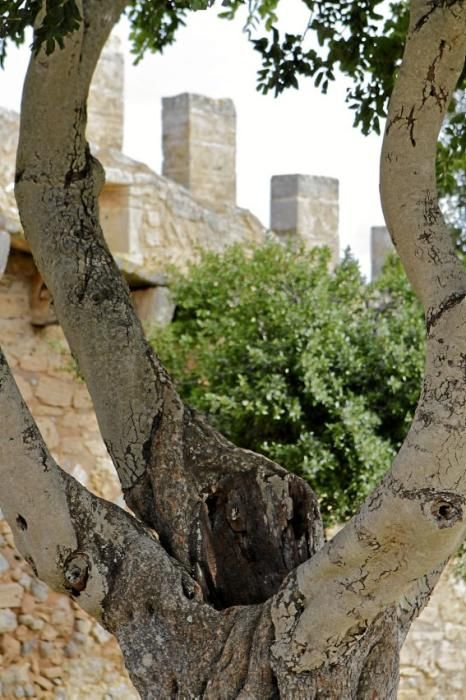 Zacken, Schießscharten, hohe Mauern: Ein Besuch in der Festung im Nordosten von Mallorca.