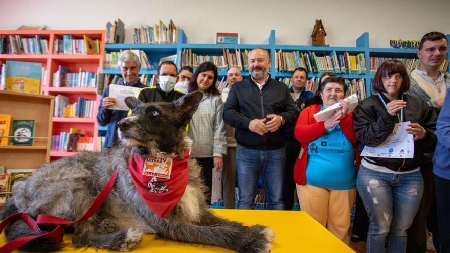 Diplomas por el fin de curso de Perros y Letras en O Burgo