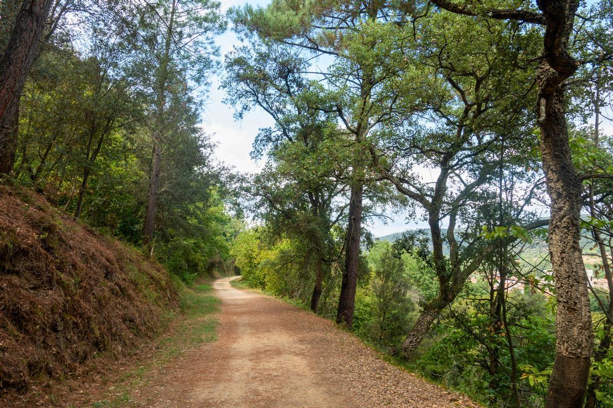 La Vía Verde del Carrilet