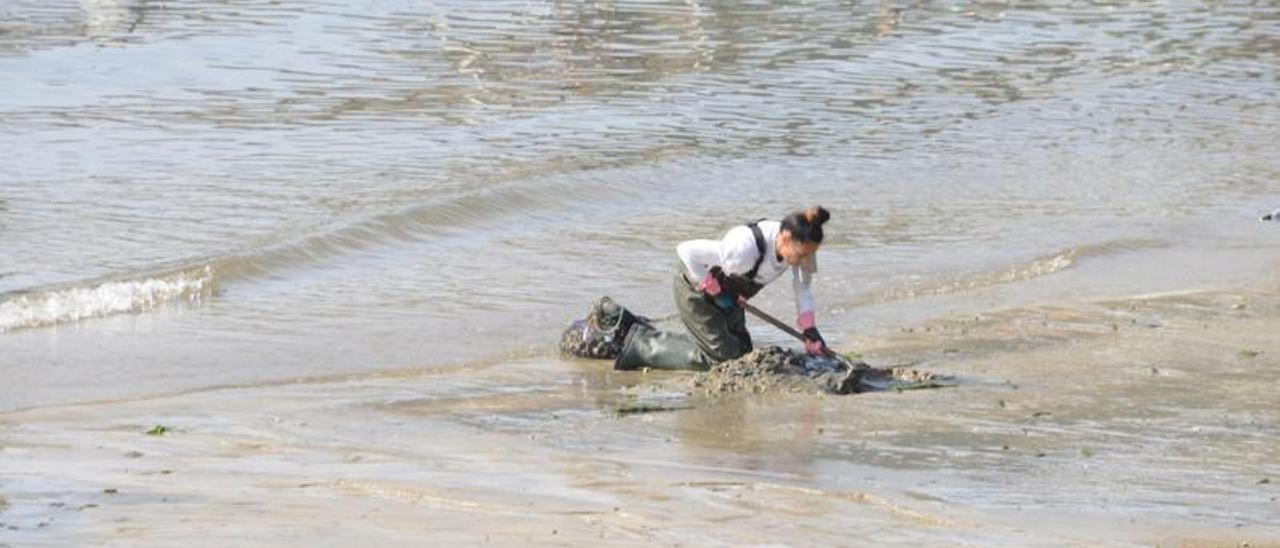 Mariscadoras trabajando en el río