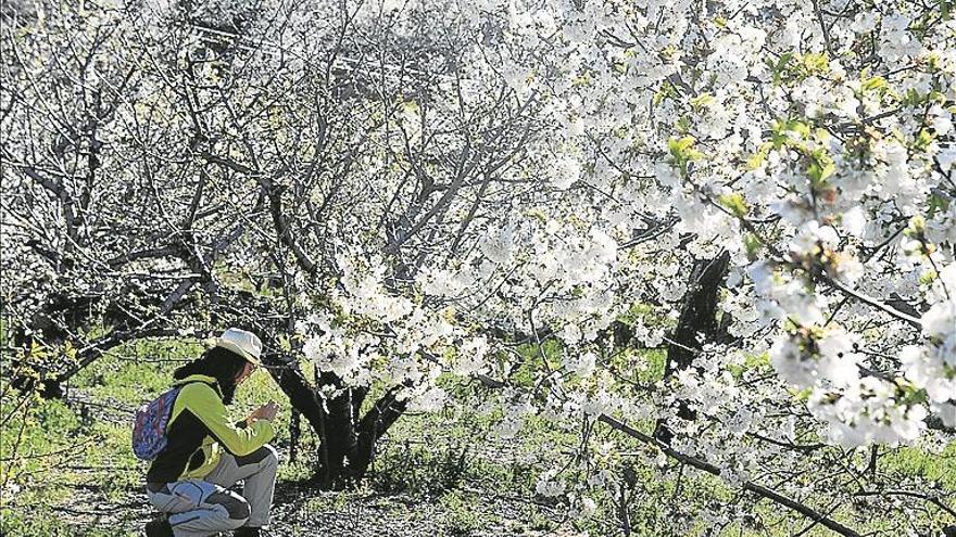 Turismo y agricultura, un perfecto maridaje