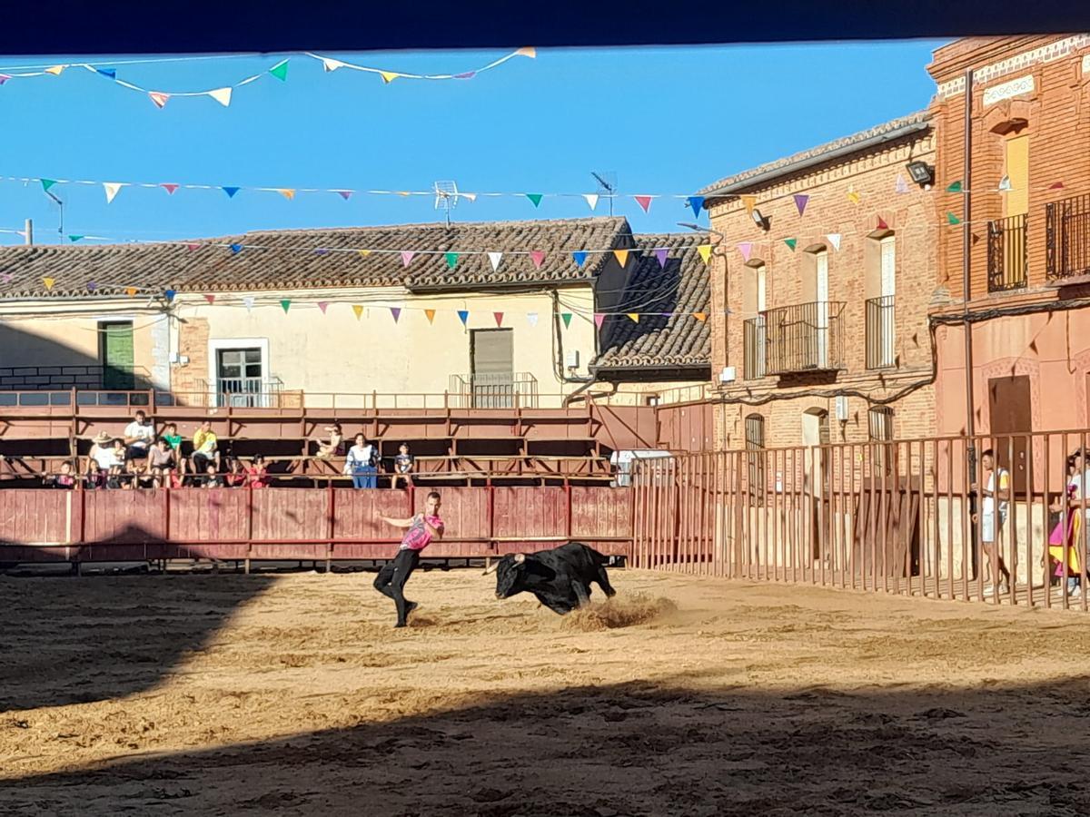GALERÍA | Exhibición de cortes, quiebros y saltos en Morales de Toro