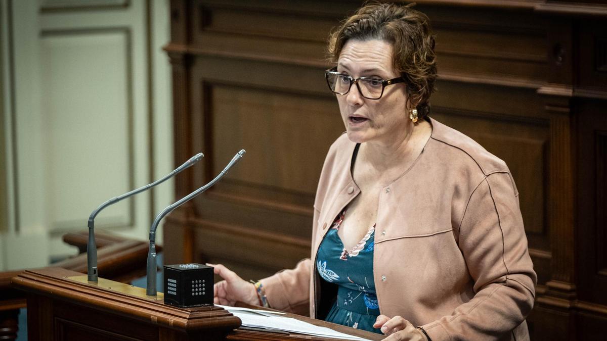 La consejera Candelaria Delgado durante una intervención en el Parlamento.