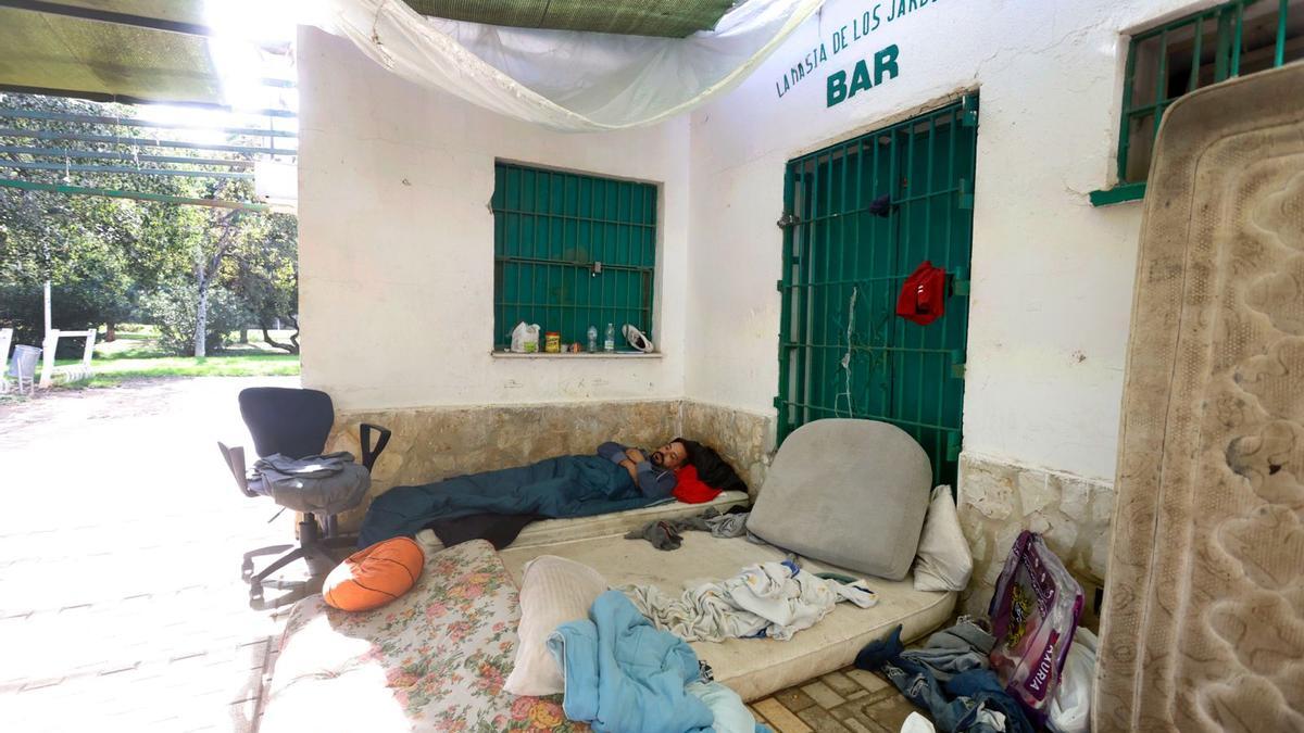 Malvivir en los jardines del Turia