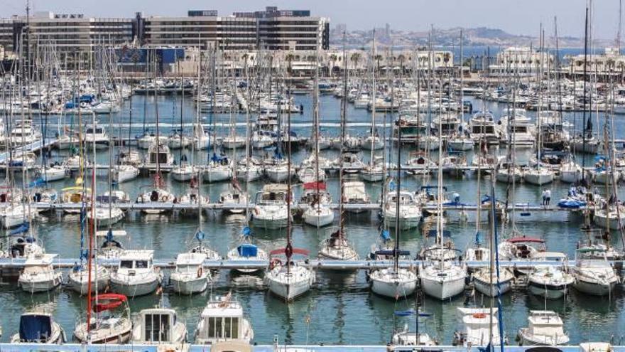 Vista general de los pantalantes del Real Club de Regatas de Alicante y la Marina de Alicante, donde se concentran cientos de amarres.
