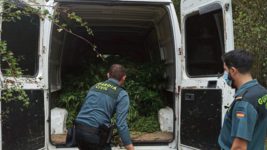 Tres años de prisión y multas de 210.500 euros por dos plantaciones de marihuana