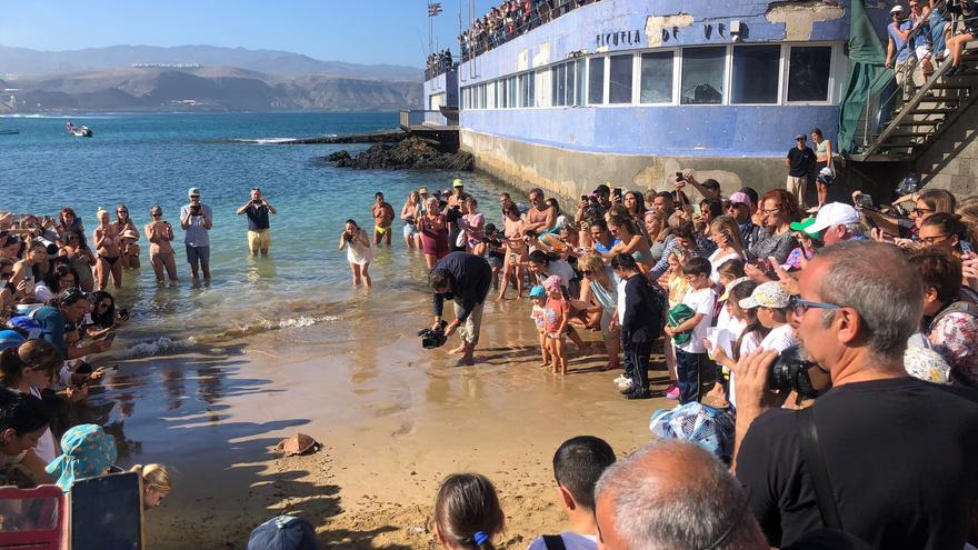 Suelta de tortugas en Las Canteras