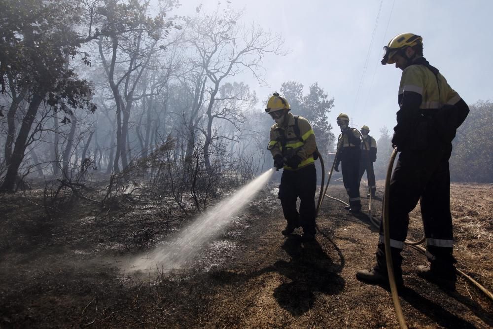 Incendi a al polígon industrial de Maçanet