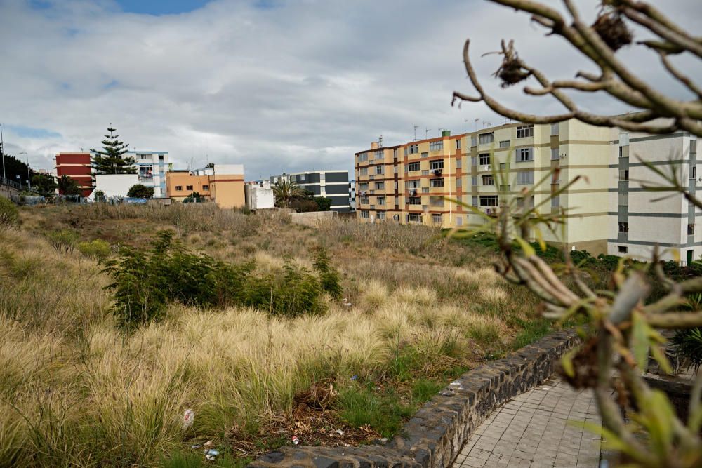 El Cardonal en La Laguna