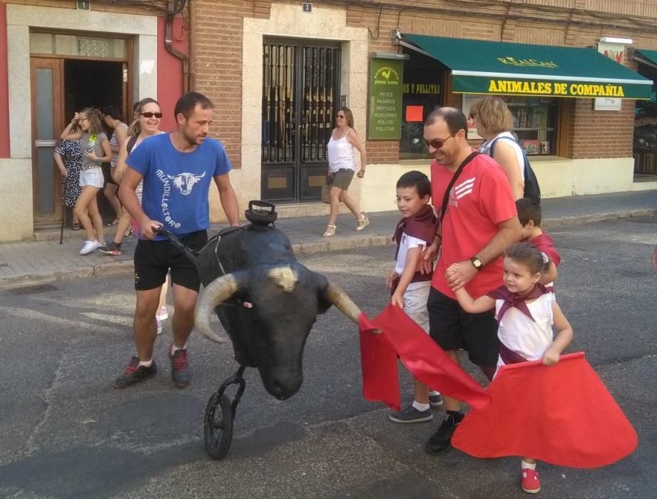 Fiestas Toro- Día de los niños