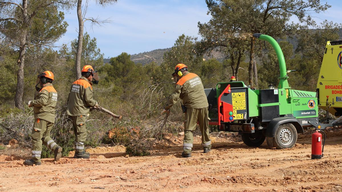 Brigadas forestales planificando los trabajos en Utiel.