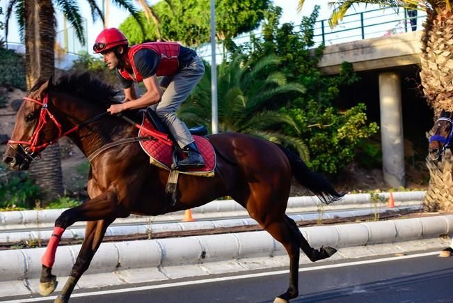 Carrera de caballos en Telde