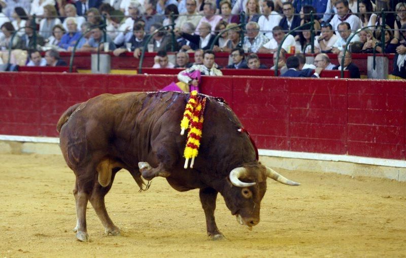 Quinta corrida de toros de las fiestas del Pilar