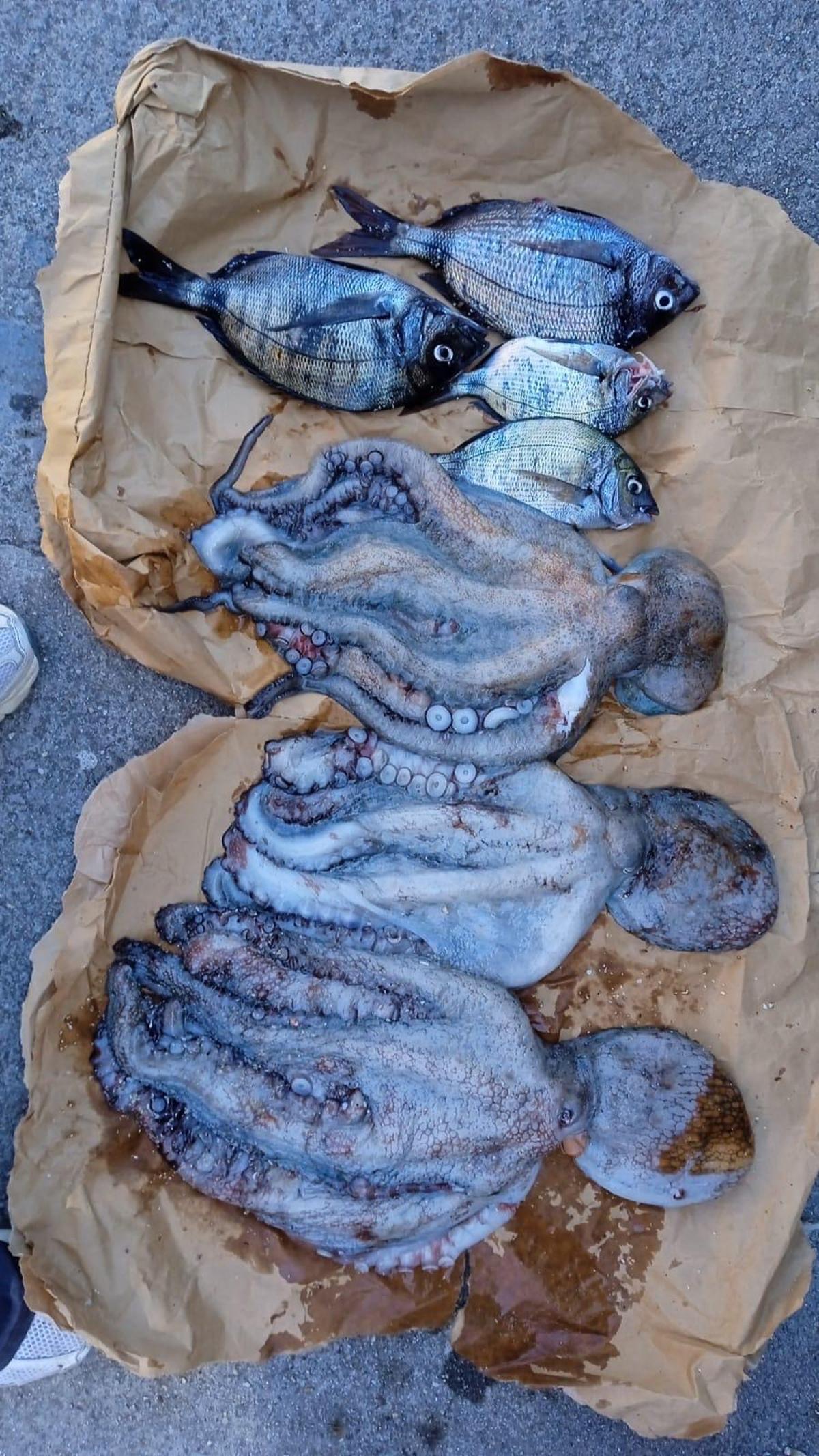 La captura de Hugo tras una jornada de pesca submarina