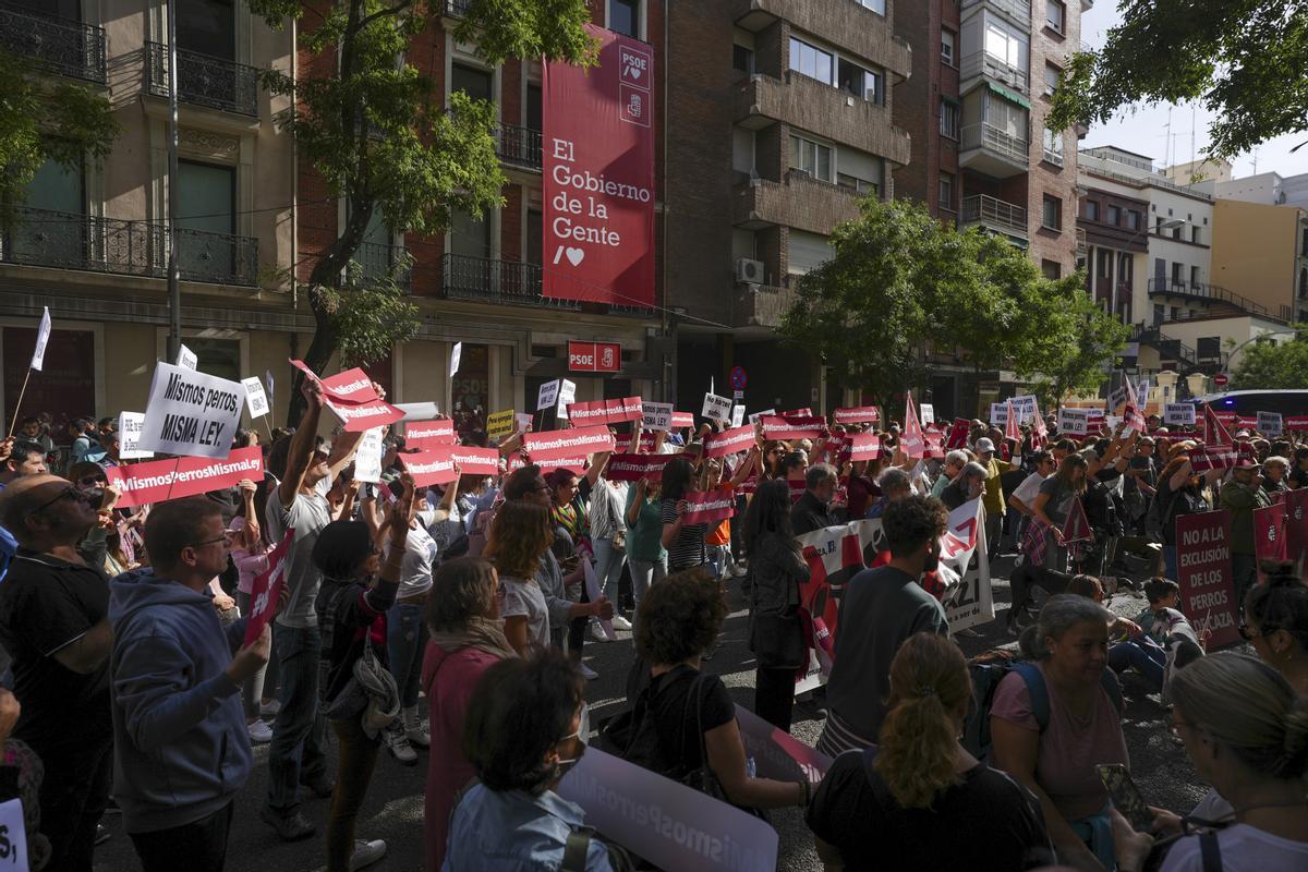 Diversos centenars d’animalistes demanen al PSOE retirar l’esmena a la llei de protecció animal