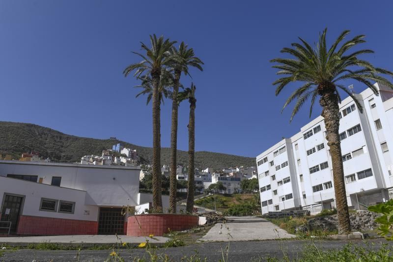 LAS PALMAS DE GRAN CANARIA  06-02-2019  LAS PALMAS DE GRAN CANARIA.  Palmeras en el solar en donde Hiperdino proyecta construir un supermercado y reconstruir la Iglesia de La Vega de San Jose.  FOTOS: JUAN CASTRO  | 06/02/2019 | Fotógrafo: Juan Carlos Castro