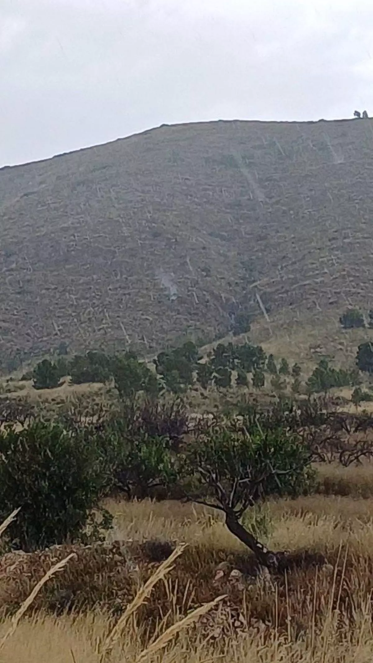Un rayo provoca un incendio forestal en La Paca