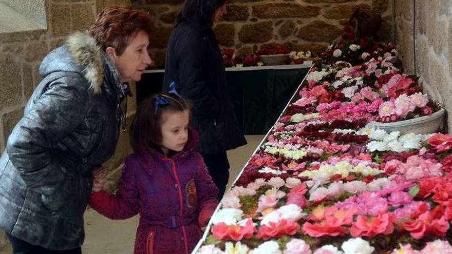 Una imagen del décimo noveno Memorial Odriozola de la camelia. // Rafa Vázquez