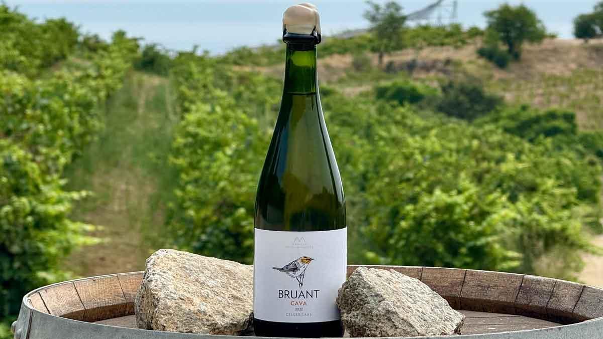 El cava Bruant, merecedor de uno de los Premios BBVA a los Mejores Productores Sostenibles.