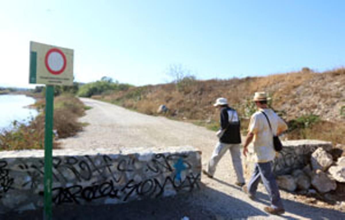 Dos mil árboles para el Guadalhorce