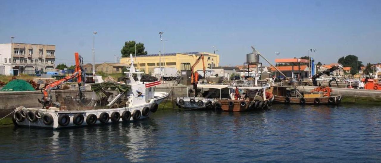 Barcos bateeiros en el muelle grovense de Porto Meloxo, con la sede de Amegrove al fondo (a la izquierda).