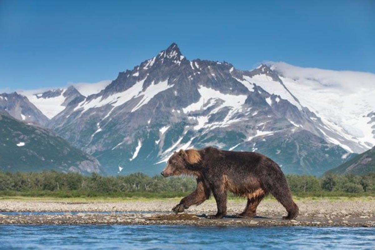 El parque nacional y reserva Katmai