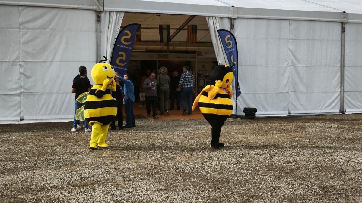 Las imágenes de la feria de la miel en Las Hurdes en 2024