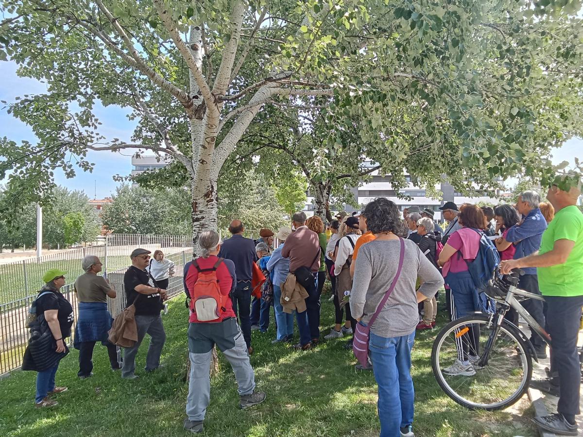Un grupo de visitantes en las visitas a las acequias de Zaragoza.