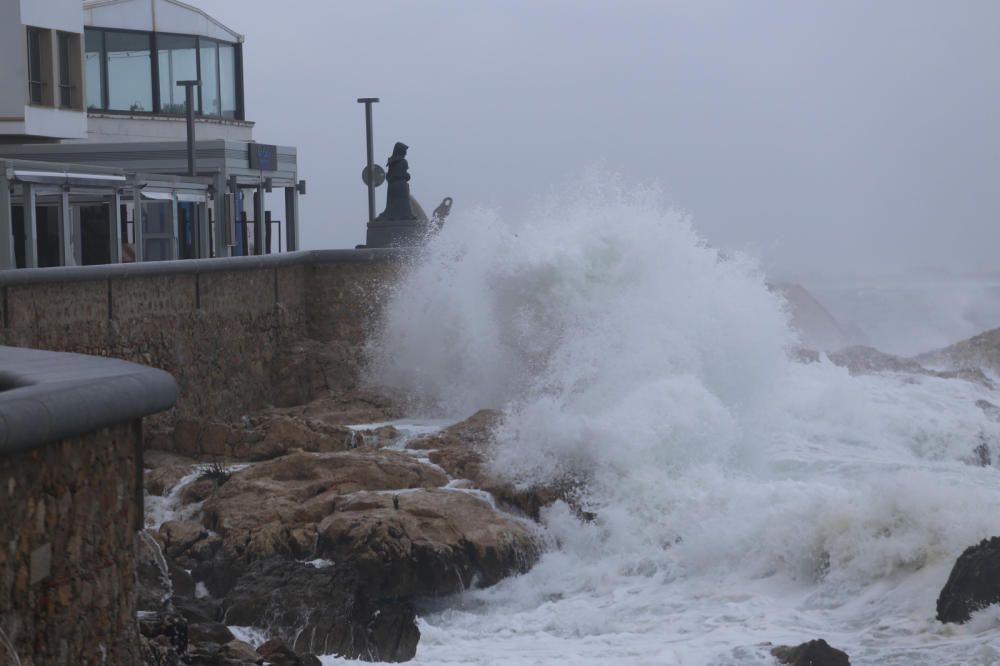 Temporal de llevant a l'Escala