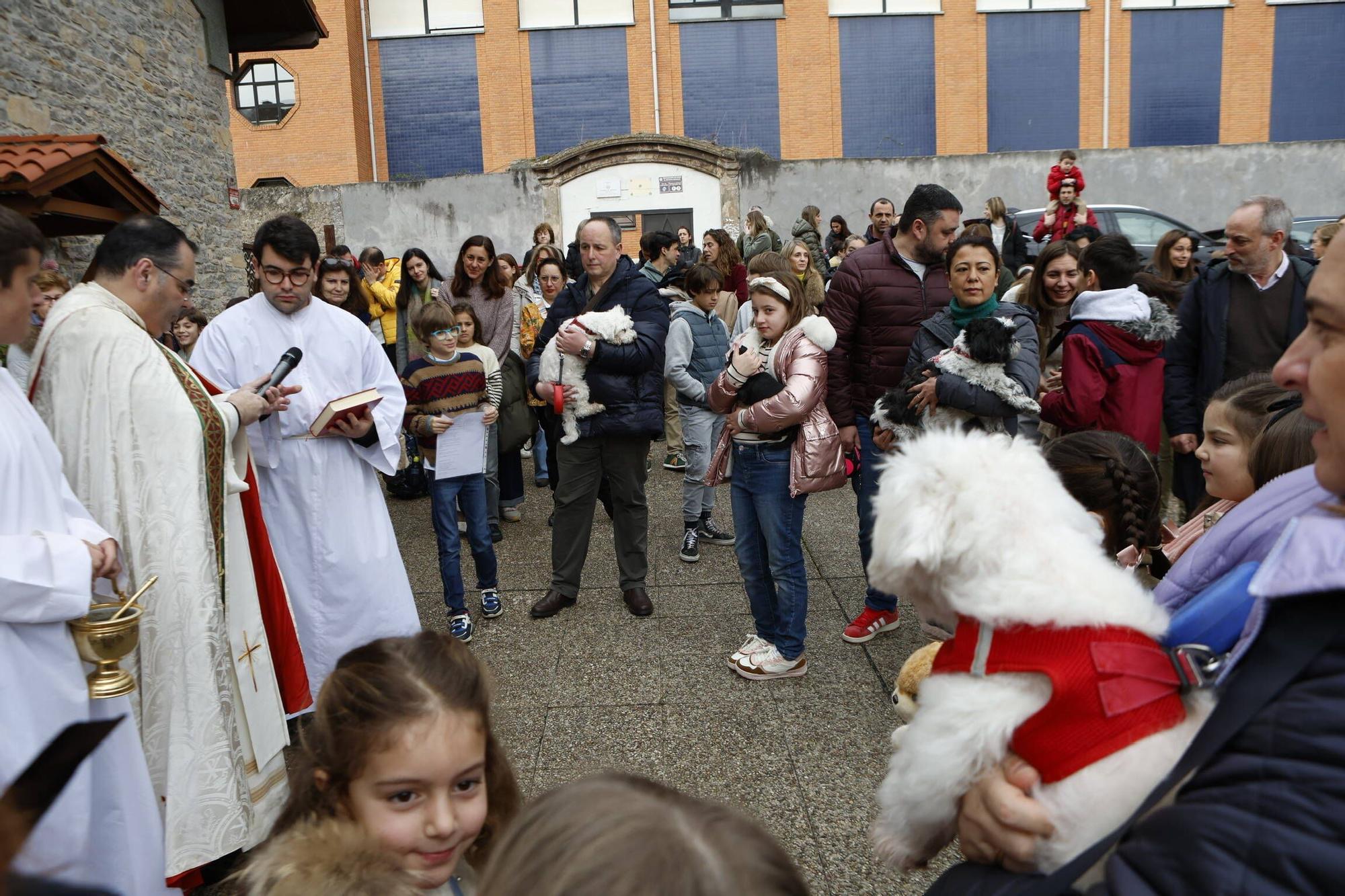 Bendición mascotas en Gijón en la parroquia de Viesques