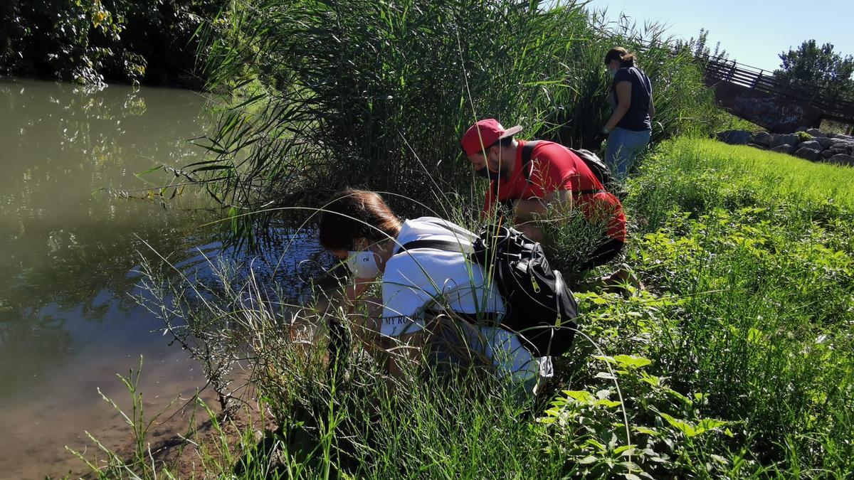 Actividades en el lecho del río Turia en término municipal de Quart de Poblet.