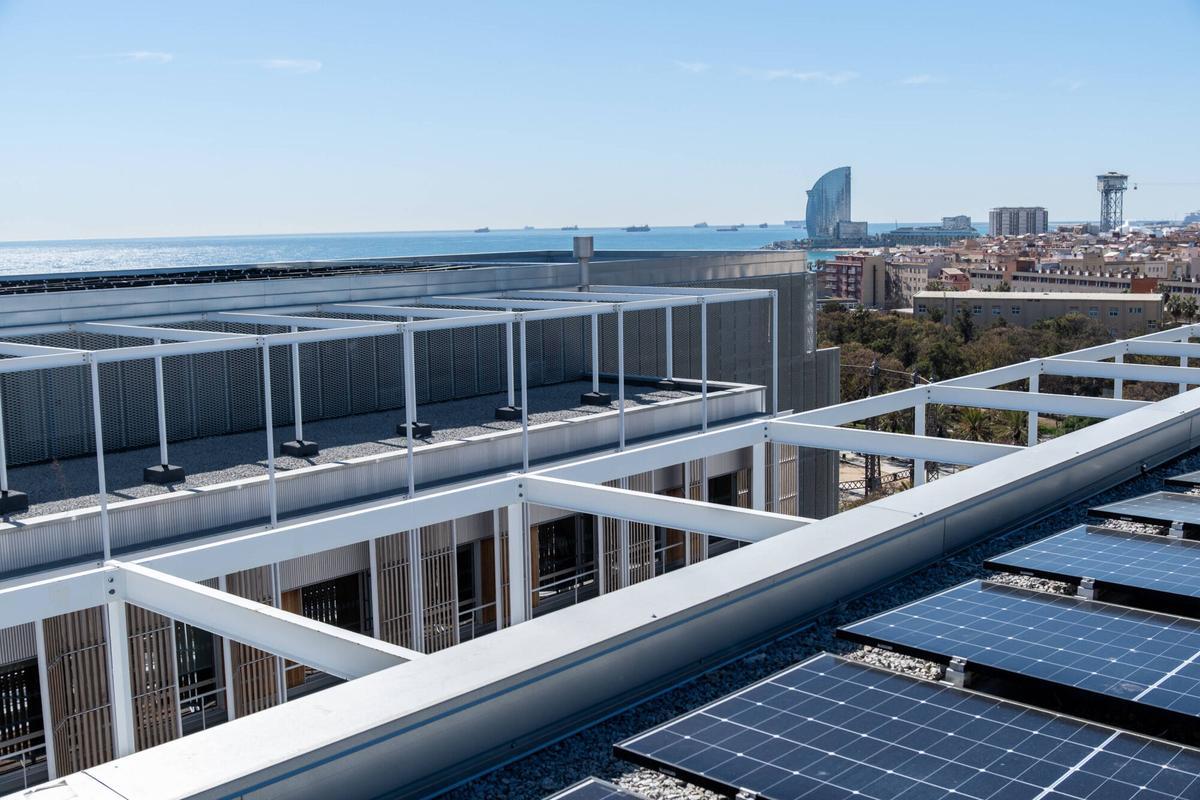 Placas fotovoltaicas del nuevo edificio.