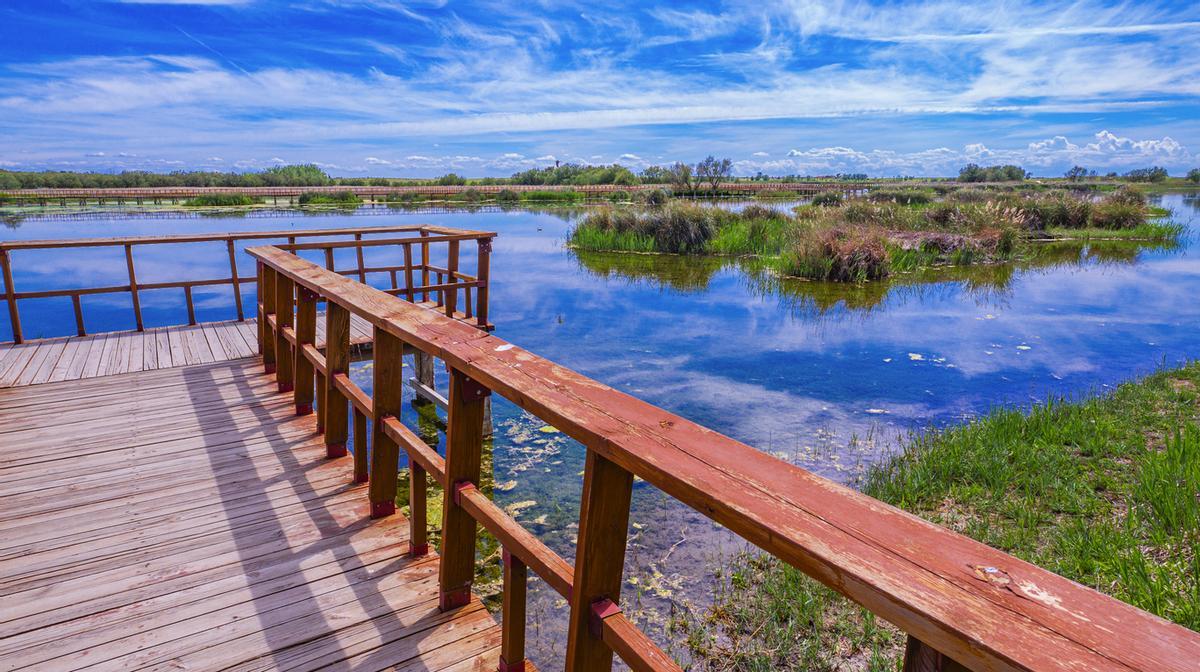 Parque Nacional de las Tablas de Daimiel