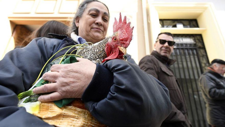 Así ha sido la bendición de animales por San Antón en Murcia