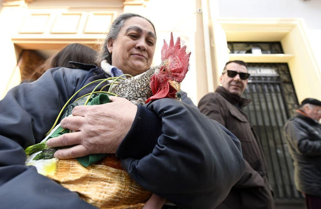 Así ha sido la bendición de animales por San Antón en Murcia
