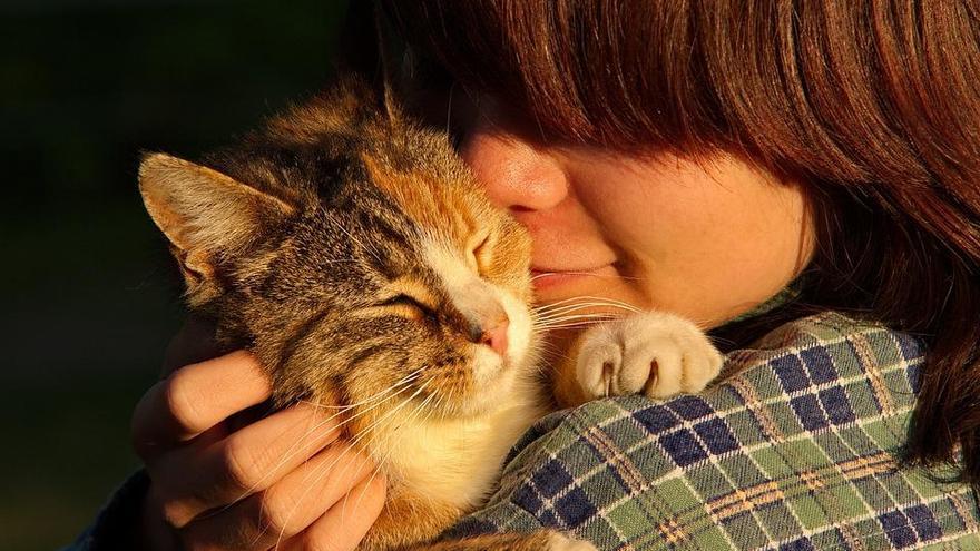 El amor hacia los animales es contagioso