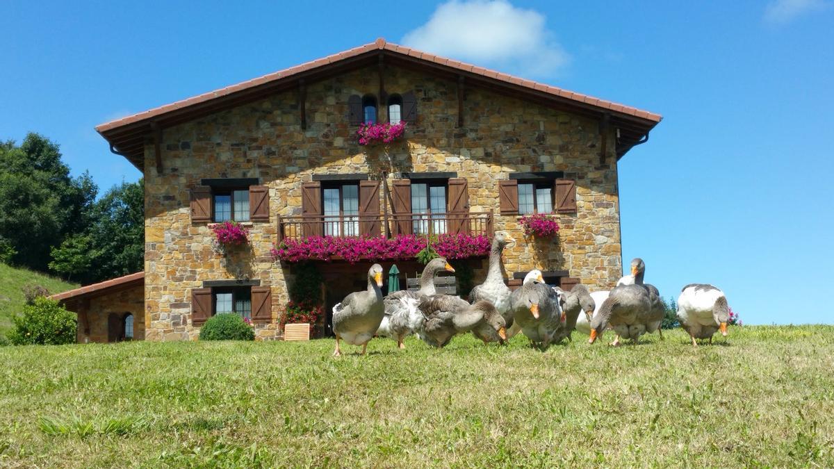 Lurdeia, en Bermeo (Bizkaia)