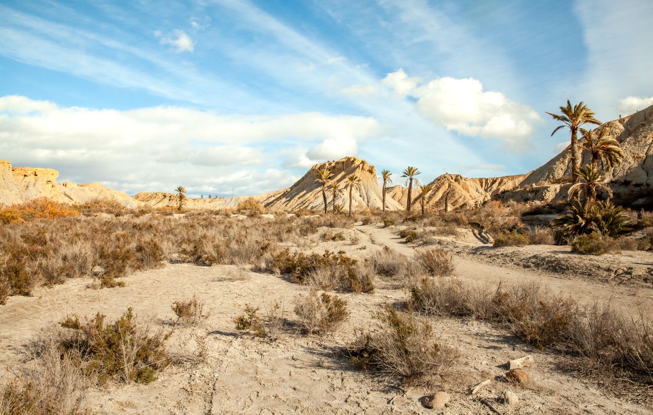 Paisaje del Desierto de Tabernas en Almerí