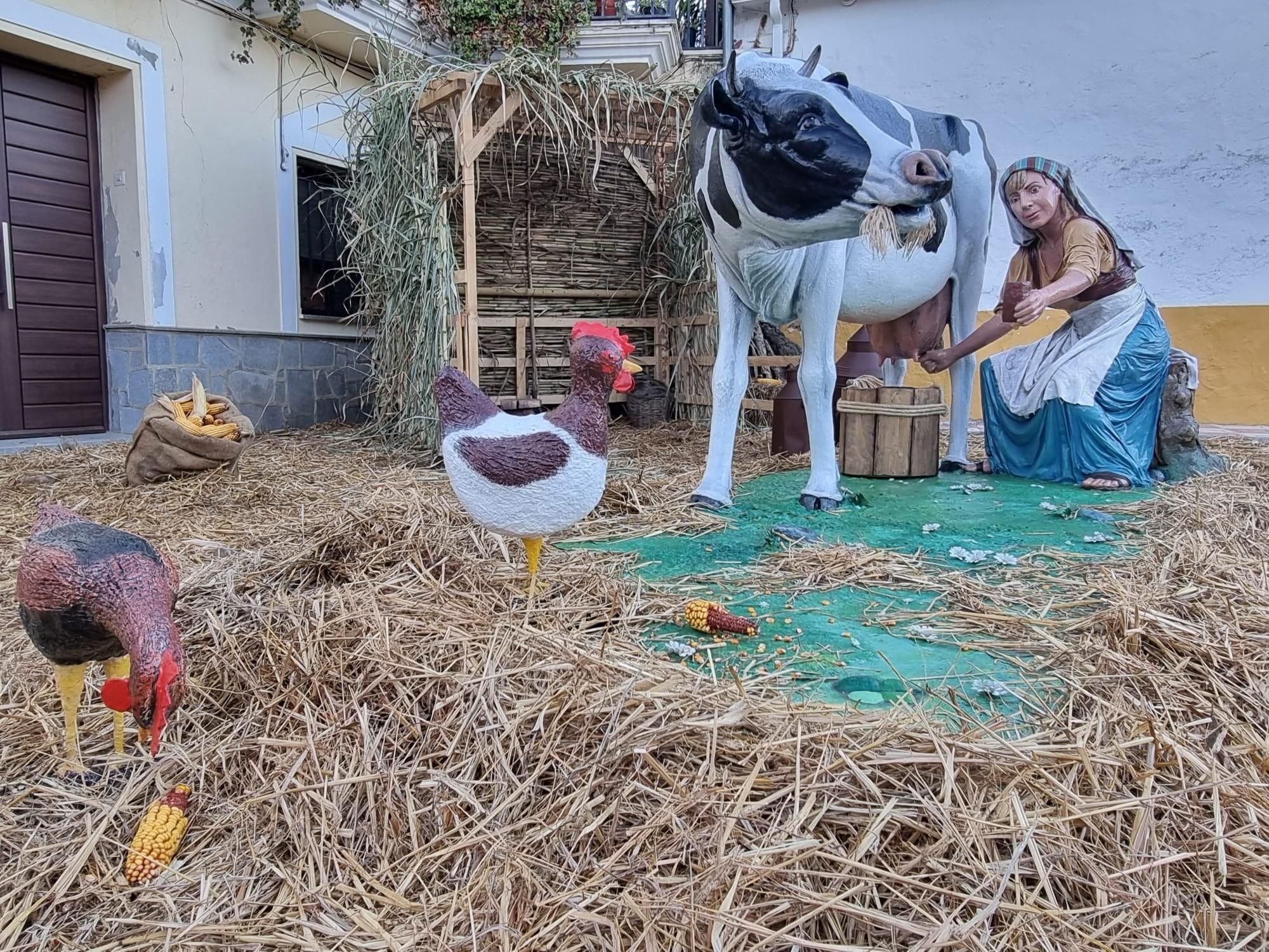 Momento del ordeño de una vaca con el mapa de Extremadura en su lomo.